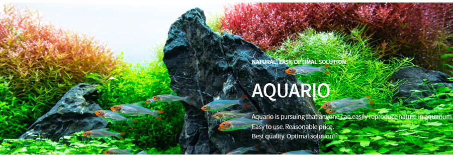 Aquario