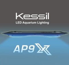 Kessil - Led AP9X