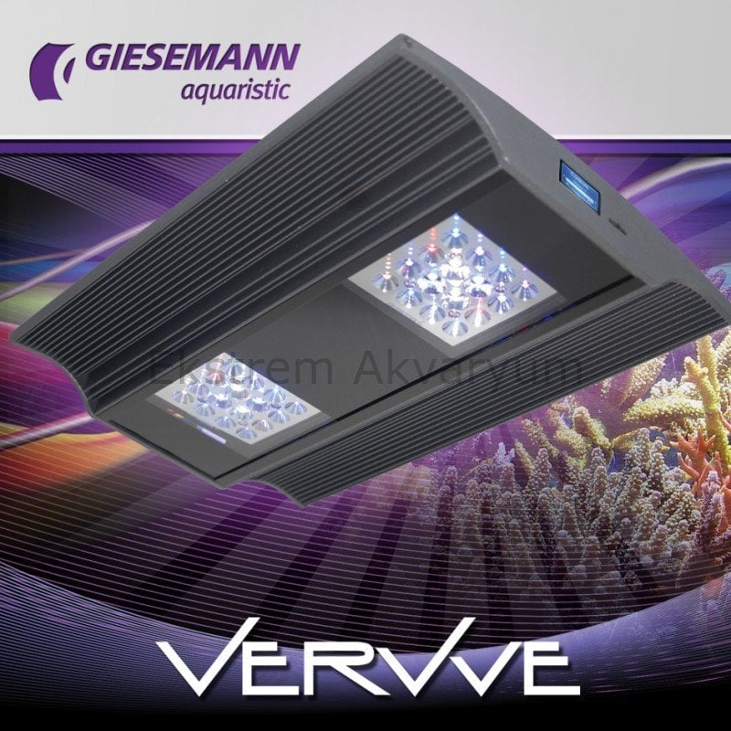 Giesemann - VerVve - One
