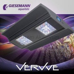 Giesemann - VerVve - One