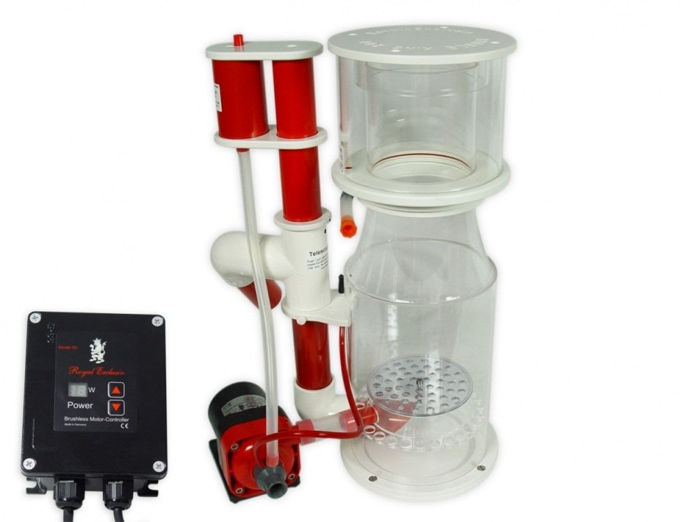 Royal Exclusiv - Bubble King - Deluxe 200 Internal RDX