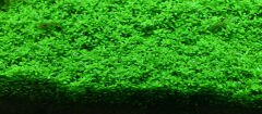 Aquario - Neo Plants Soil Brown Normal 8 l