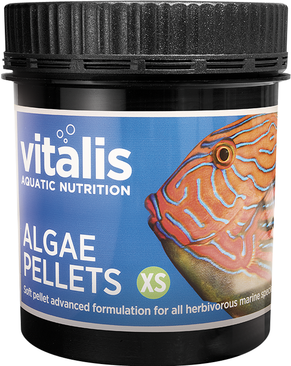 Vitalis - Algae Pellets 60 gr Extra Small 1 mm
