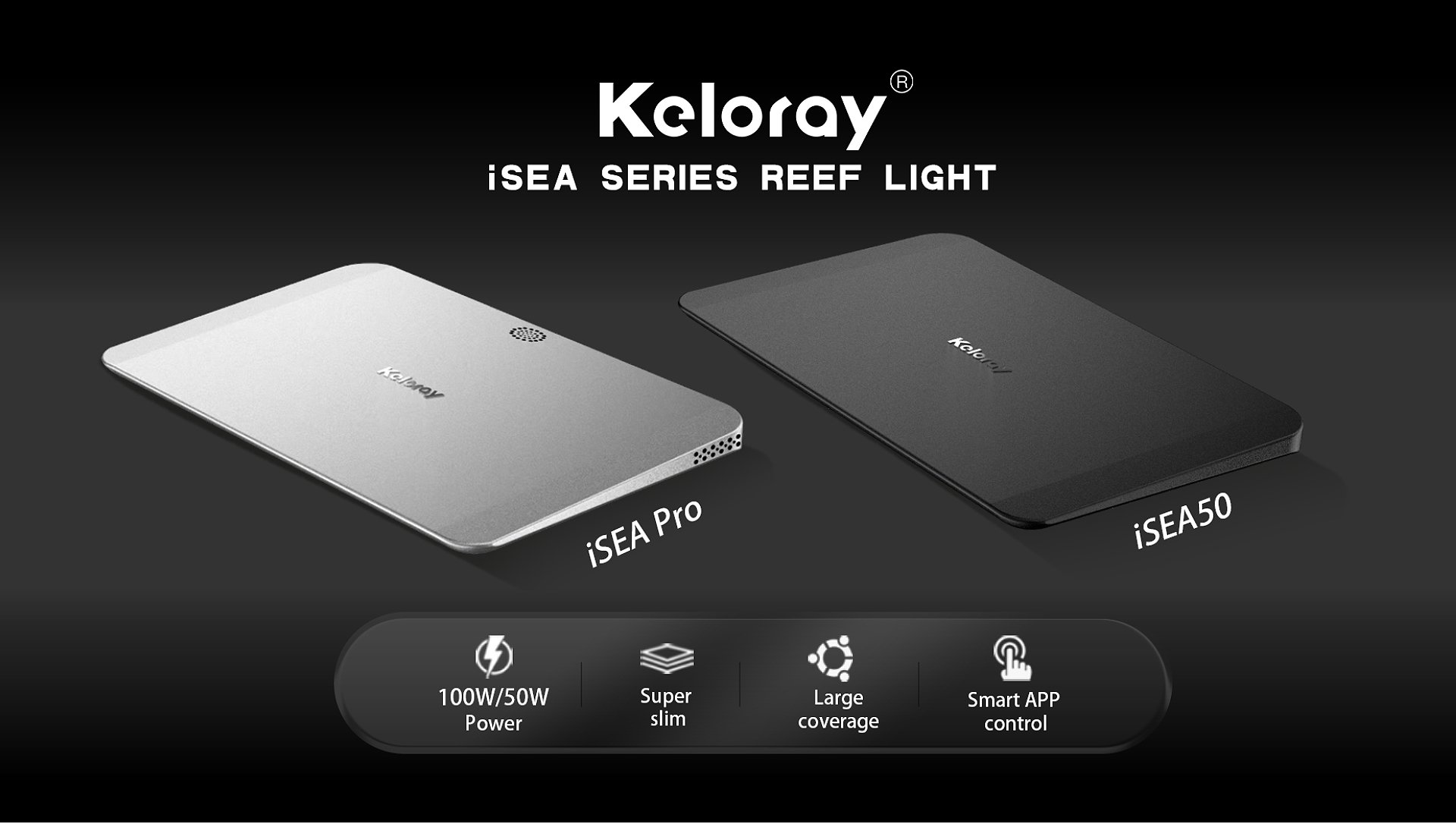 Keloray - İSEA 100
