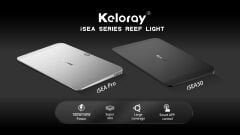 Keloray - İSEA 100