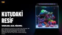 AquaForest - Nano Tank