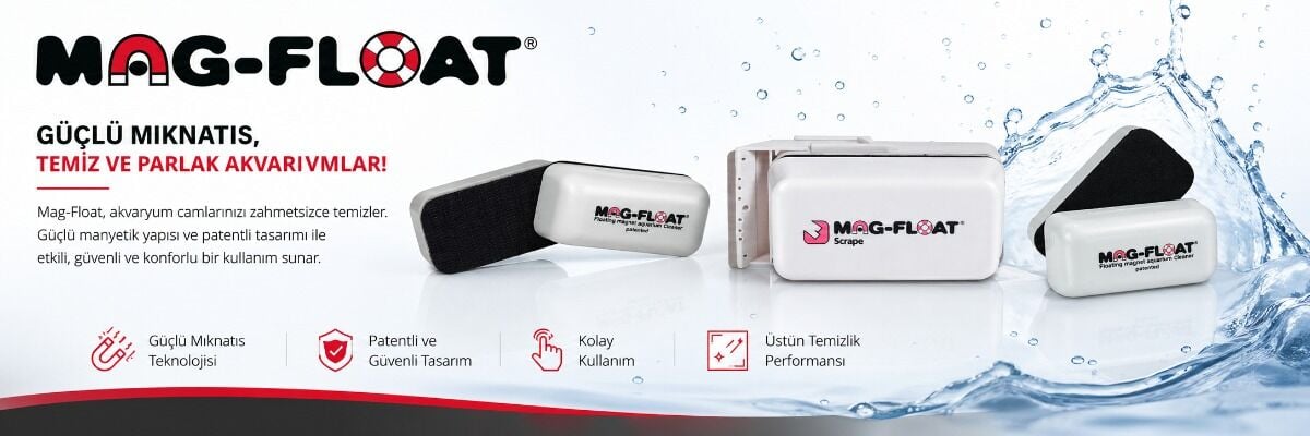 Mag-Float