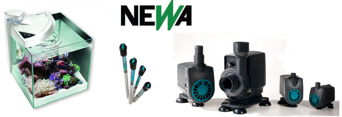 Newa
